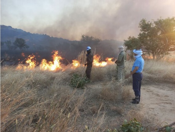 لعصابه: السلطات تنجح فى السيطرة على حرائق استمرّت ثلاثة أيام