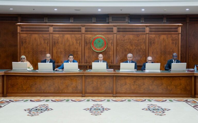 الحكومة تلغي 13 رخصة تنقيب وتعلن إنشاء منطقة معدنية جديدة في نواذيبو