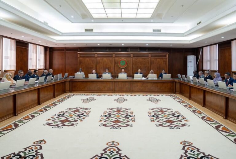 مجلس الوزراء يجرى عدة تعيينات في قطاعات المالية والوظيفة العمومية والعمل الاجتماعي