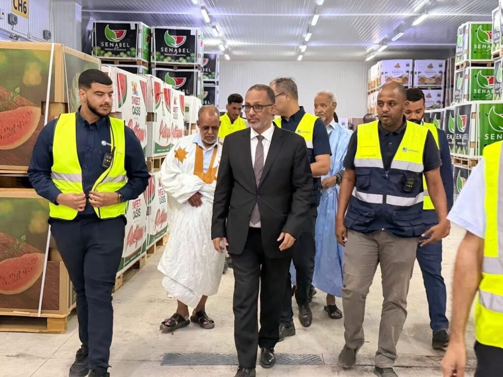 بعائدات تفوق 120 مليون دولار.. صادرات موريتانيا من البطيخ إلى أوروبا تتجاوز 30 ألف طن