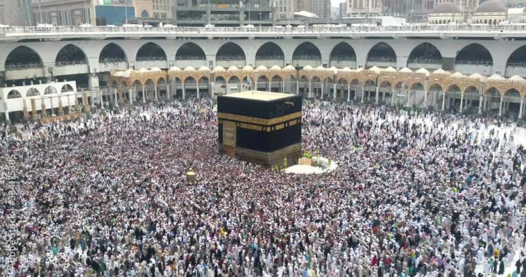رئيس البعثة الطبية للحج: الوضع الصحي للحجاج مطمئن الحالات والأعراض المسجلة حتى الآن بسيطة